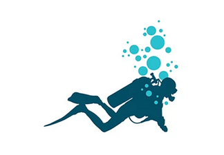 Dive 1000