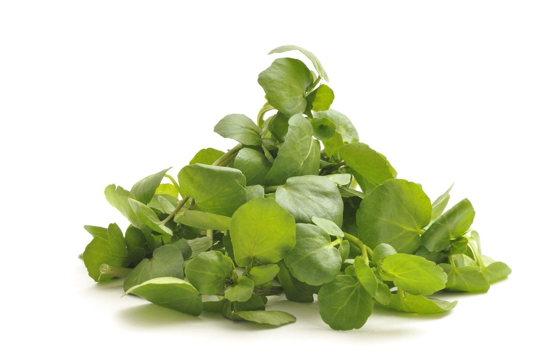 watercress